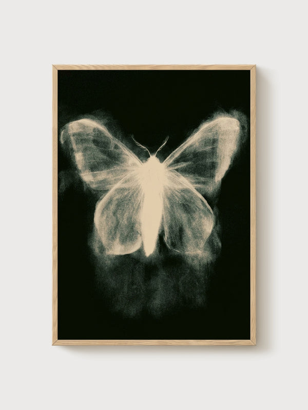 Moth Butterfly Wall Art poster in oak frame