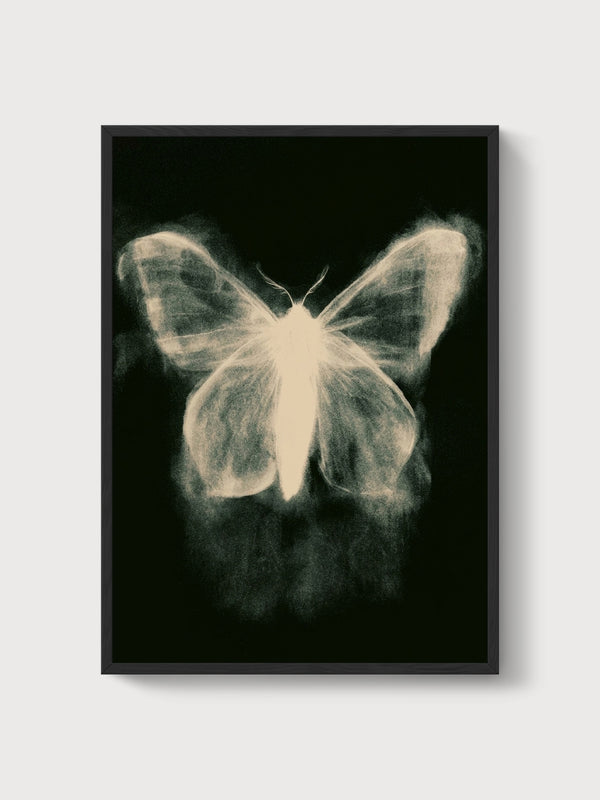 Moth Butterfly Wall Art poster in black frame