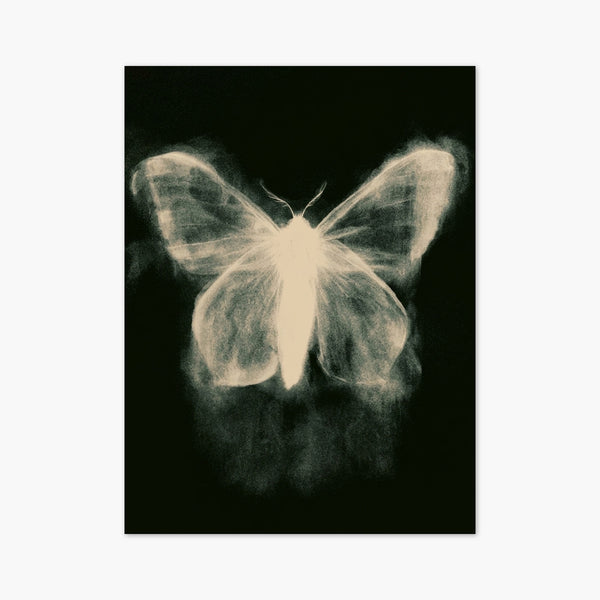 Moth Butterfly Wall Art art print