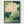 Lotus Flower Poster poster in black frame