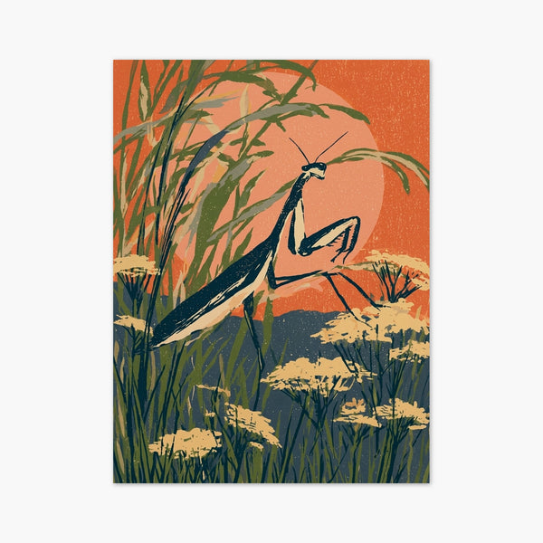 Praying Mantis Wall Art art print