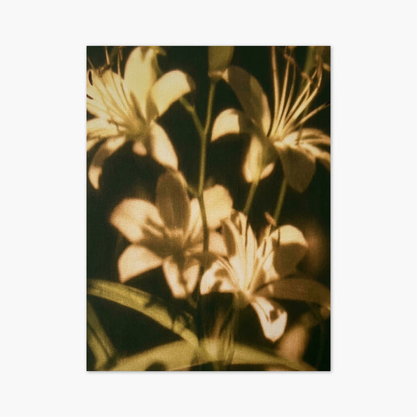 Vintage Lily Flower Print art print
