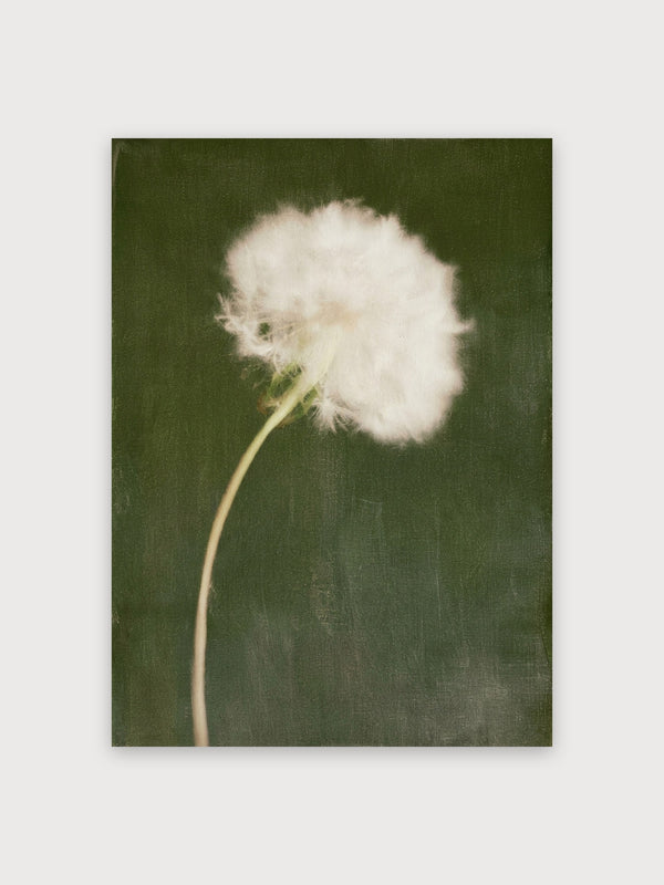 Dandelion Minimal Green Study - Digital Download