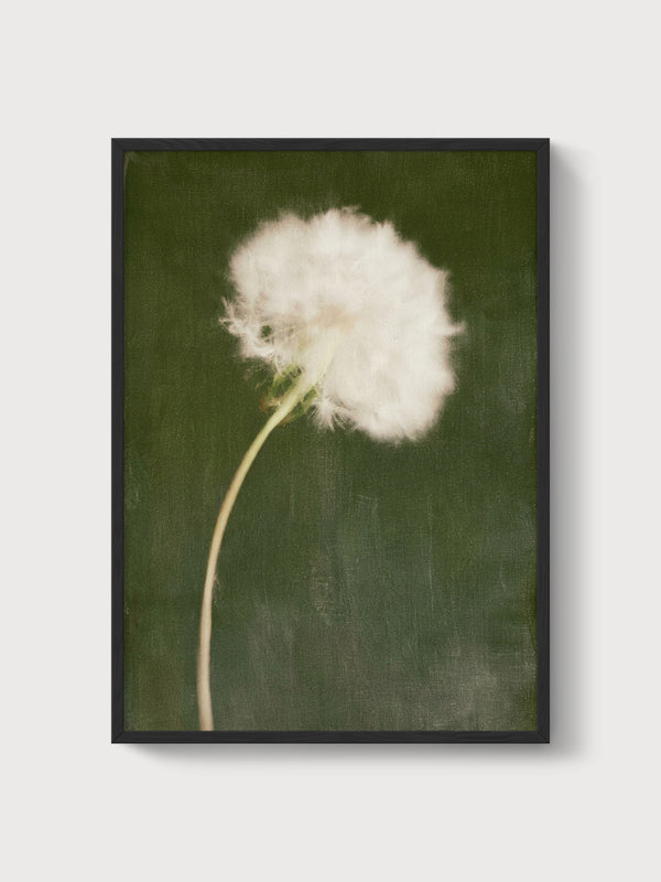 Dandelion Wall Art poster in black frame
