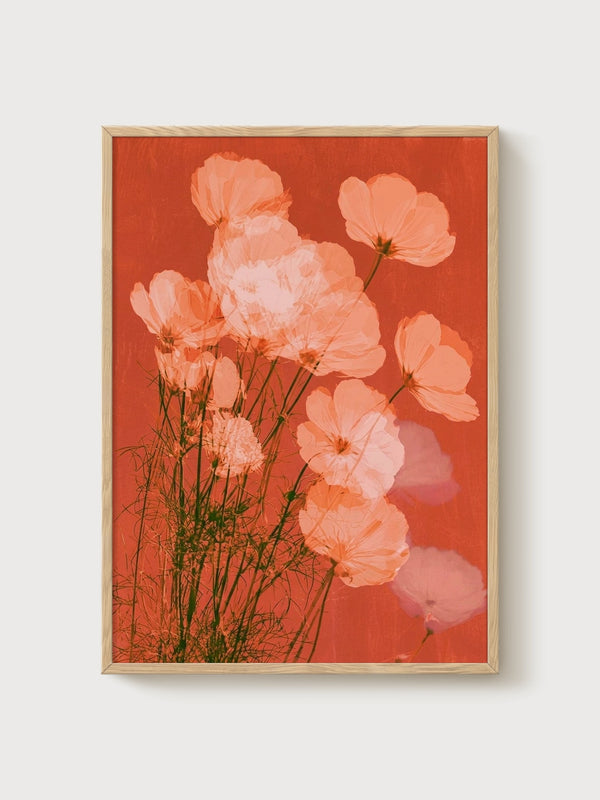Cosmos Flower Watercolor Print poster in oak frame