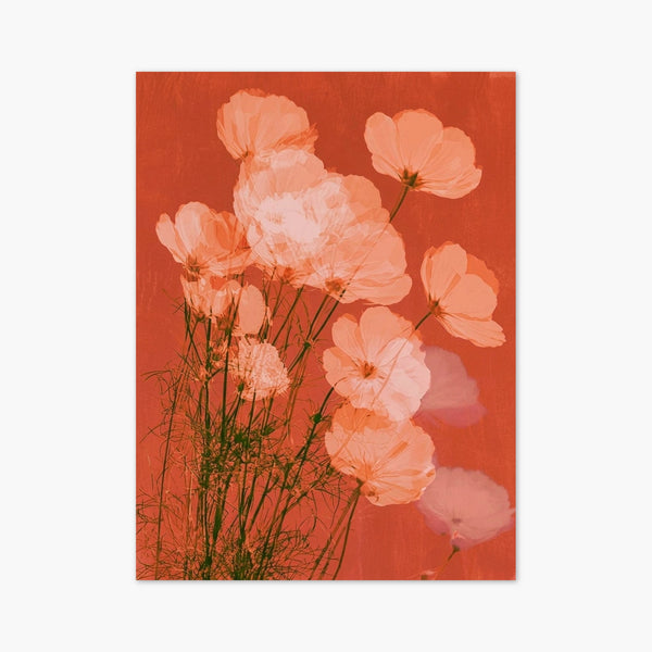 Cosmos Flower Watercolor Print art print