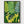 Beetle Forest Print poster in black frame