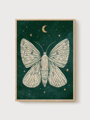 Moth Print poster in oak frame