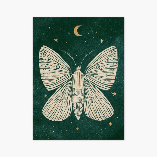 Moth Print art print