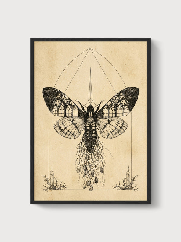 Monarch Butterfly Wall Art poster in black frame