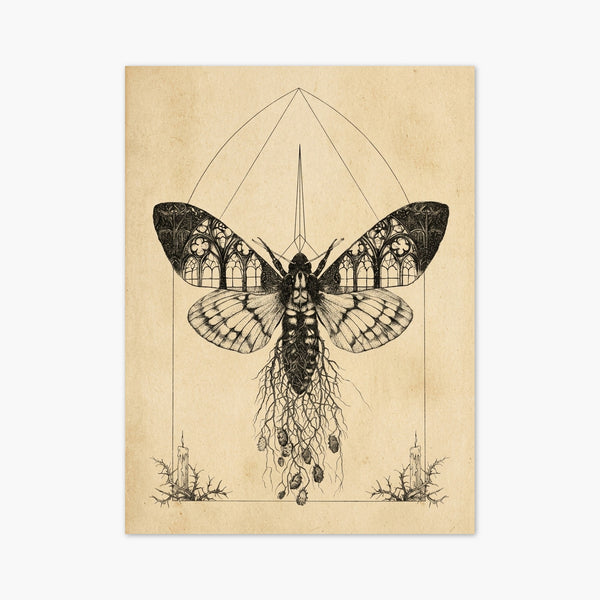 Monarch Butterfly Wall Art art print