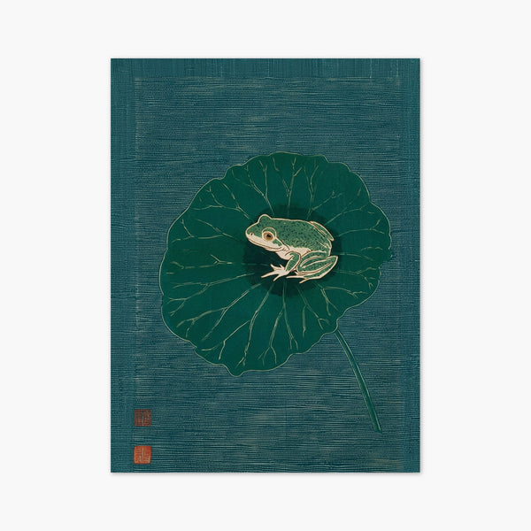 Frog Poster art print