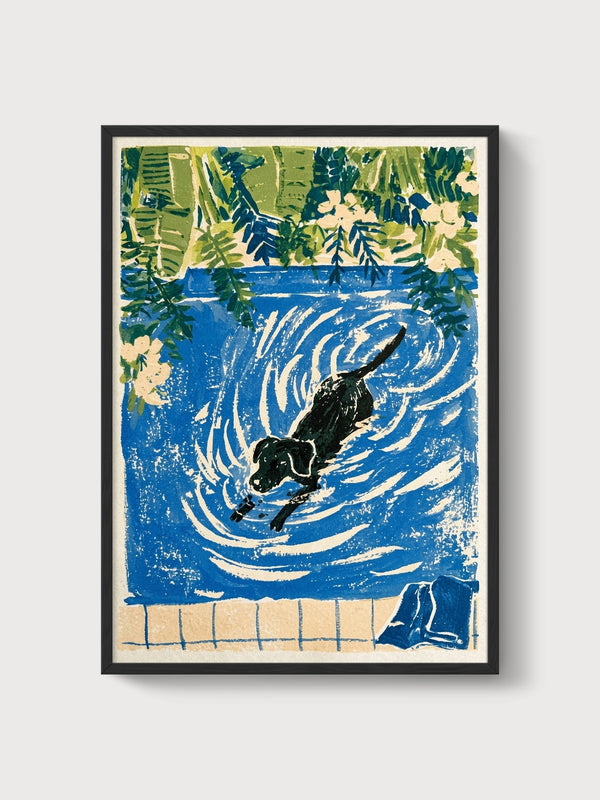 Dog Swimming in Pool Print poster in black frame