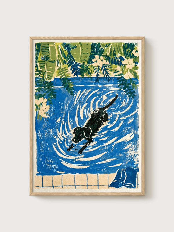 Dog Swimming in Pool Print poster in oak frame