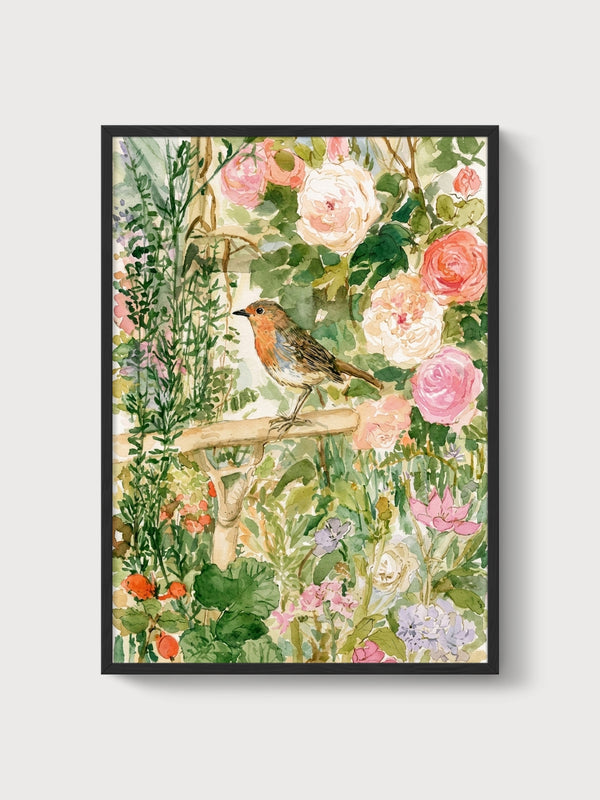 Robin Bird Watercolor Painting poster in black frame