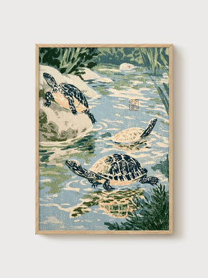 Tortoiseshell Poster poster in oak frame