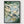 Tortoiseshell Poster poster in black frame
