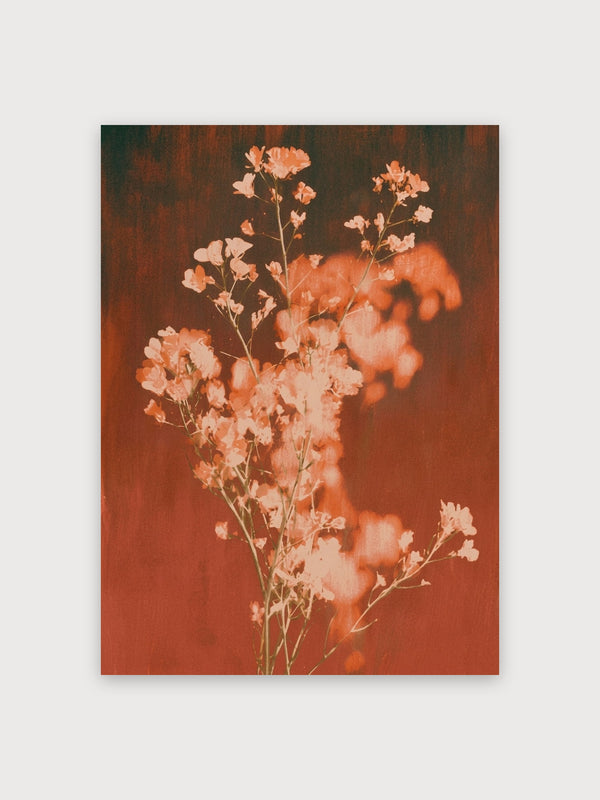 Dried Flowers Warm Botanical - Digital Download