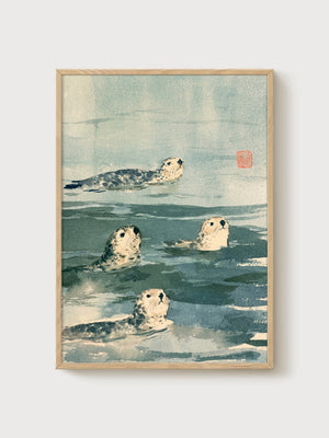 Seal Print poster in oak frame