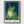 Fancy Frog Poster poster in black frame
