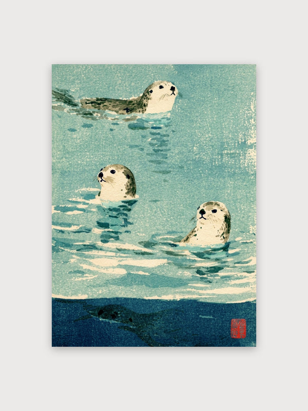 Seals Swimming In Water - Digital Download