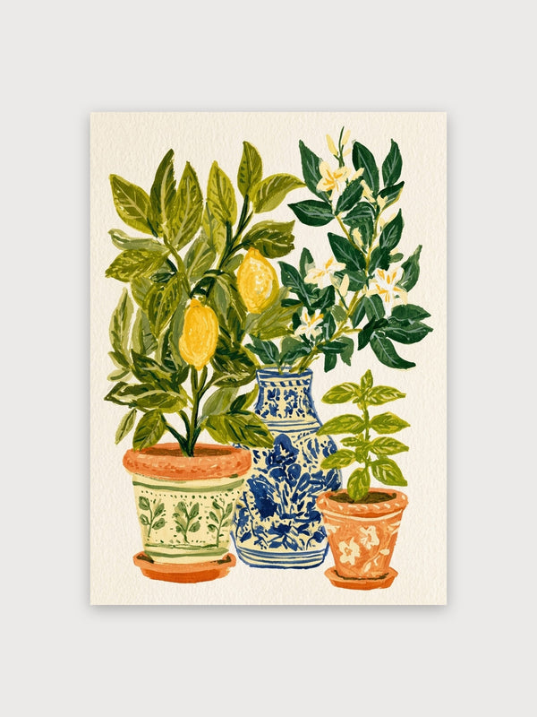 Lemon Plant Botanical Study - Digital Download