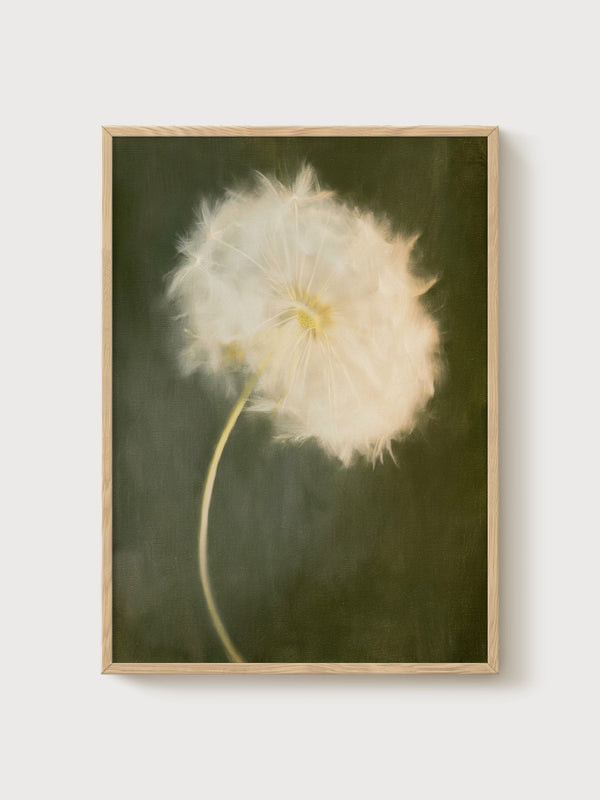 Dandelion Wall Art Painting poster in oak frame