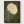 Dandelion Wall Art Painting poster in black frame