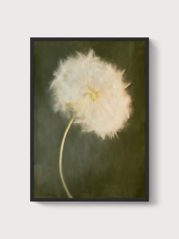 Dandelion Wall Art Painting poster in black frame