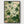 Art Nouveau Botanical Print poster in black frame