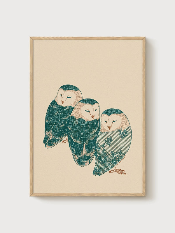 Three Barn Owls Print poster in oak frame