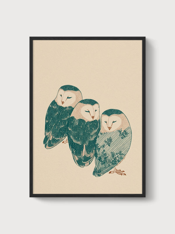 Three Barn Owls Print poster in black frame