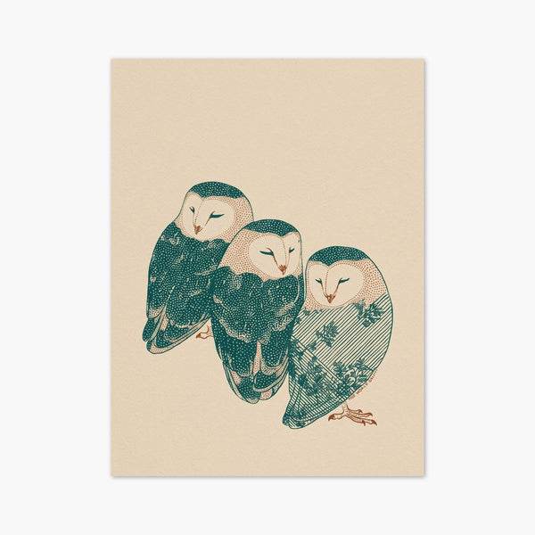 Three Barn Owls Print art print