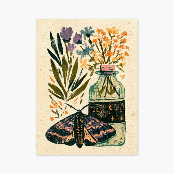 Moth Botanical Print art print