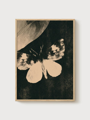 Vintage Moth Butterfly Print poster in oak frame