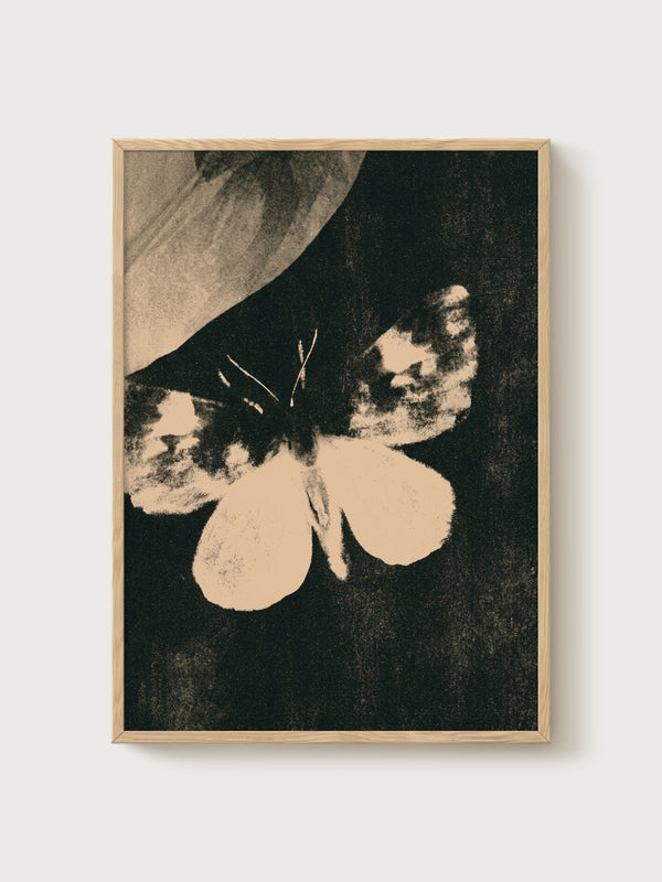 Vintage Moth Butterfly Print poster in oak frame
