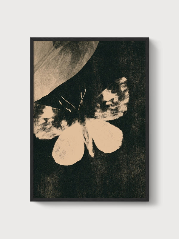 Vintage Moth Butterfly Print poster in black frame