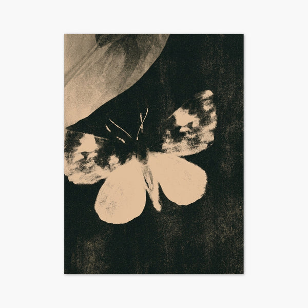 Vintage Moth Butterfly Print art print