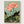 Lotus Flower Poster poster in oak frame