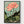 Lotus Flower Poster poster in black frame