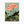 Lotus Flower Poster art print