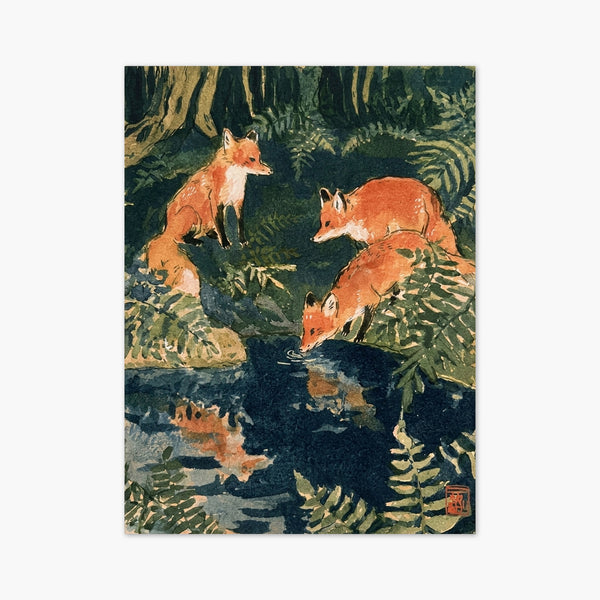 Fox Art Print art print
