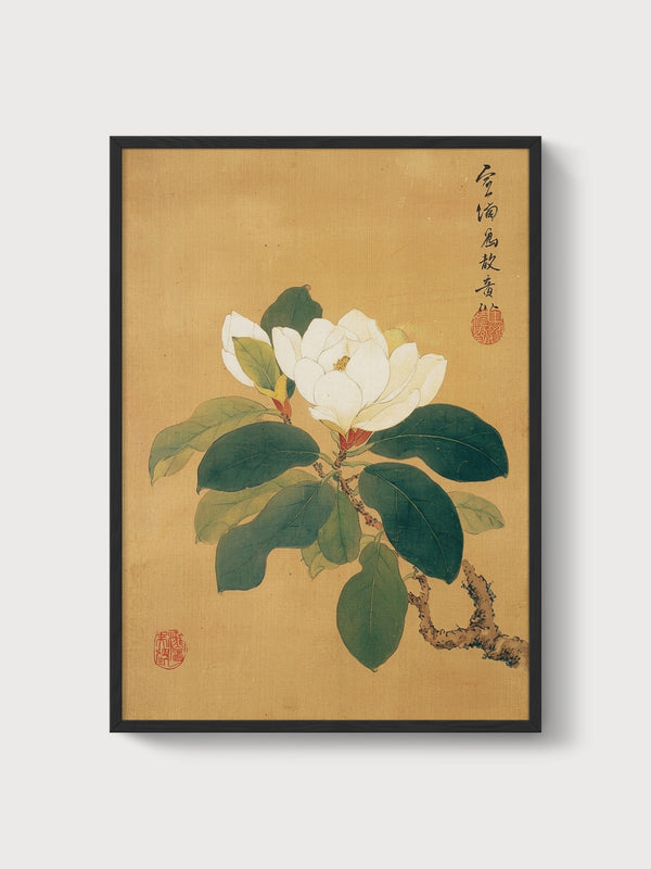 Chinese Magnolia Botanical Print poster in black frame