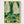 Beetle Forest Print poster in oak frame