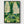 Beetle Forest Print poster in black frame