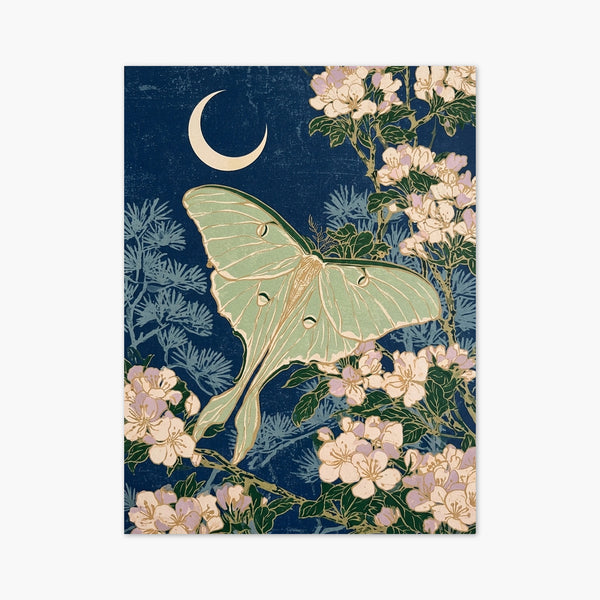 Art Nouveau Luna Moth Print art print
