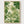Vintage Toile Garden Print poster in oak frame