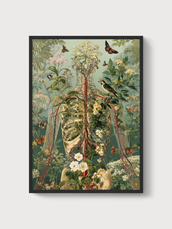 Vintage Anatomical Botanical Art poster in black frame