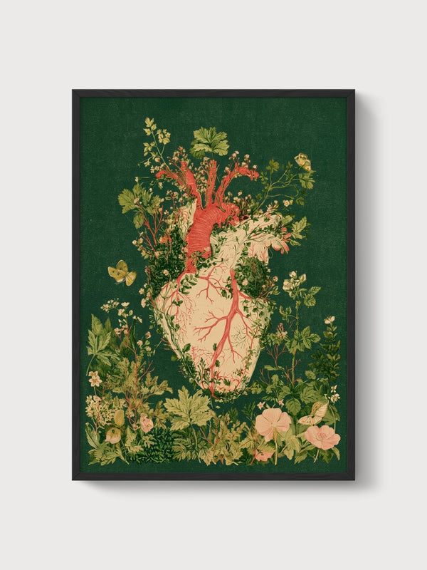 Anatomical Heart Botanical Print poster in black frame