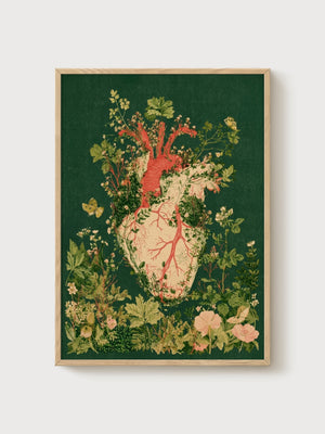 Anatomical Heart Botanical Print poster in oak frame